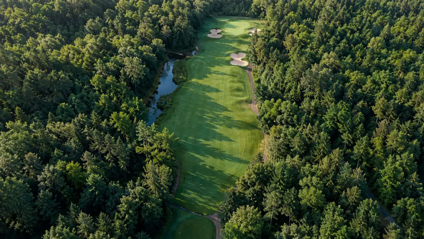 Un fairway boisé en forêt de Chantilly un matin d’automne
